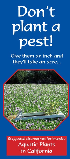 Don’t Plant a Pest: Aquatic Plants in California