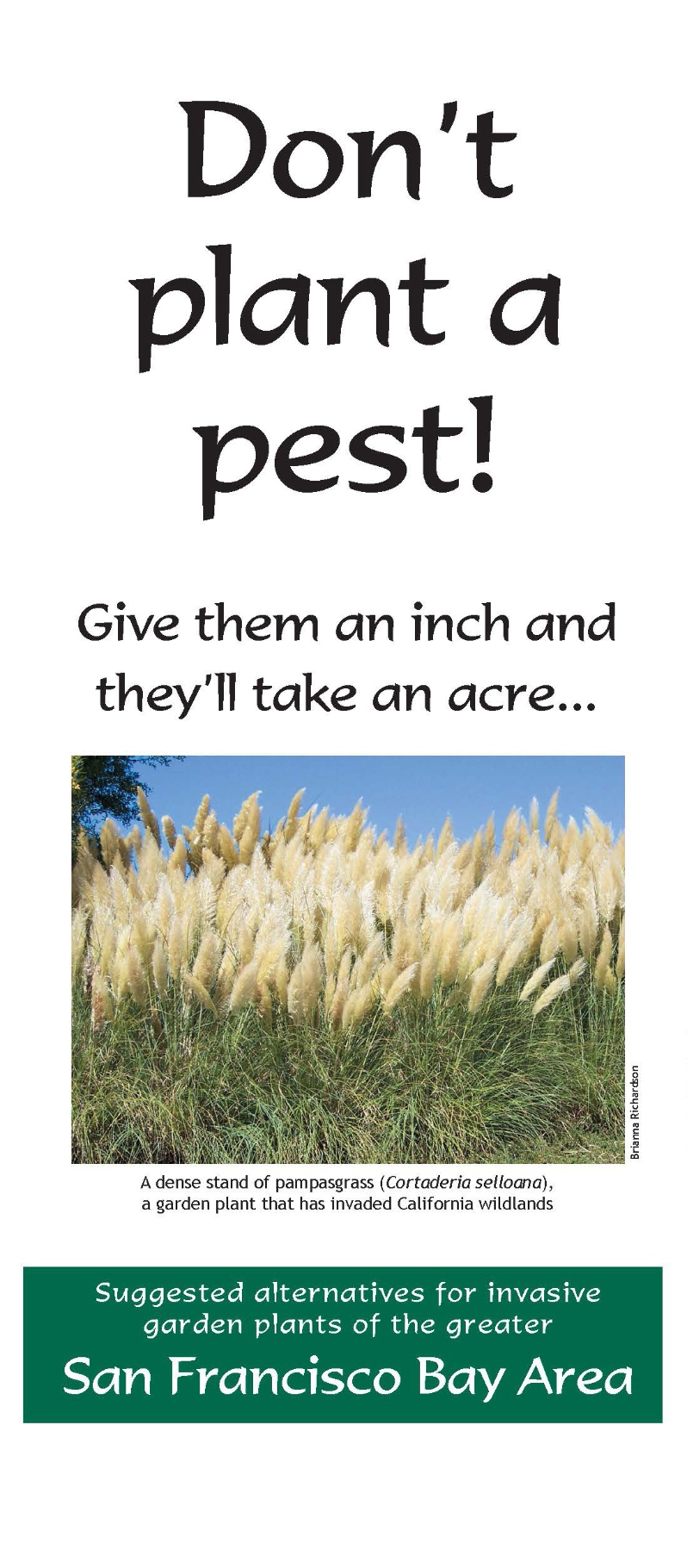 Don’t Plant a Pest: Bay Area